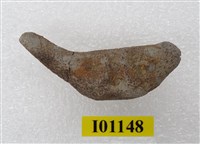 藏品(魚骨)的圖片